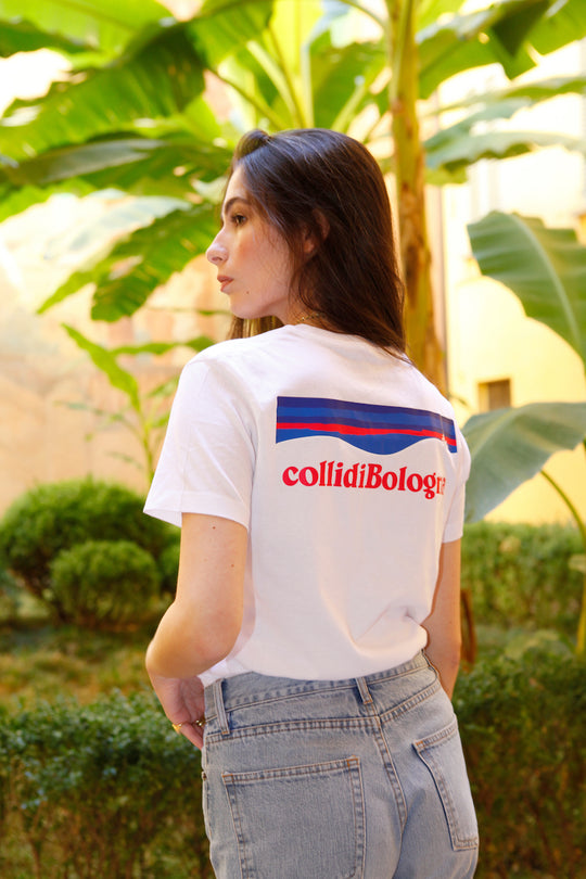 Colli di Bologna
