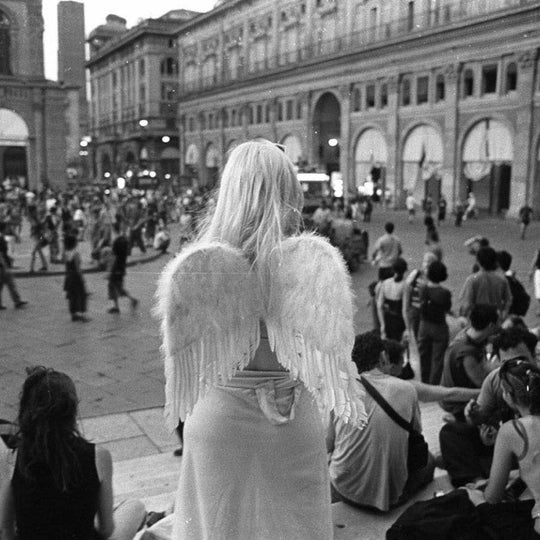 HO VISTO COSE A BOLOGNA