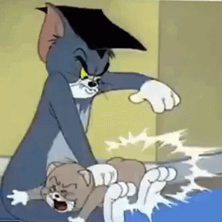 BONA LÈ CINNI!